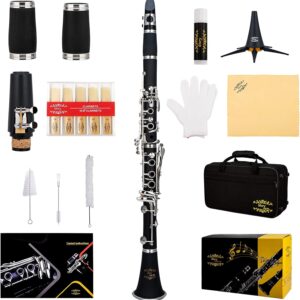 Glory GLY-PBK Professional Ebonite Bb Clarinet with 10 Reeds, Stand, Hard Case, Cleaning Cloth, Cork grease, Mouthpiece Brush and Pad Brush, Black Glory GLY-PBK Professional Ebonite Bb Clarinet with 10 Reeds, Stand, Hard Case, Cleaning Cloth, Cork grease, Mouthpiece Brush and Pad Brush, Black
