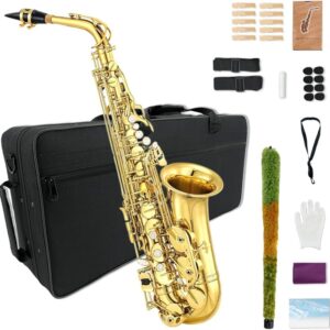 Alto Saxophone Beginner Kit for Adults, Student Saxophone Eb, Professional Brass Saxophones Instrument with Sax Case, Mouthpiece, Reeds, Gloves, Cleaning Cloth & Brush (Gold)