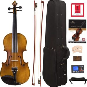Cecilio Full Size 4/4 Violin with Hard Case & Shoulder Rest – Solidwood Ebony Fitted Violin with D’Addario Strings, Ideal for Beginners
