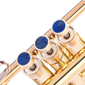 HEAVY Trumpet custom finger buttons for all Yamha (All YTR), Stomvi, Shagerl, Carol Brass and Fides Trumpets, Yamaha flugelhorn 631/731, Yamaha cornet models (Raw Brass, Lapis Lazuli) HEAVY Trumpet custom finger buttons for all Yamha (All YTR), Stomvi, Shagerl, Carol Brass and Fides Trumpets, Yamaha flugelhorn 631/731, Yamaha cornet models (Raw Brass, Lapis Lazuli)