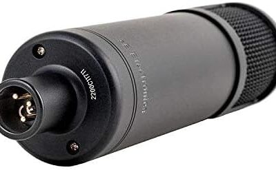 SE Electronics SE2200 Large Diaphragm Cardioid Condenser Microphone,Black