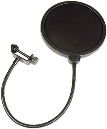31JHOoD0KeL. AC sE Electronics SE2200 Large-Diaphragm Condenser Microphone Bundle with Shockmount, Pop Screen Filter and 2 10ft XLR Cables