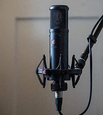 SE Electronics SE2200 Large Diaphragm Cardioid Condenser Microphone,Black