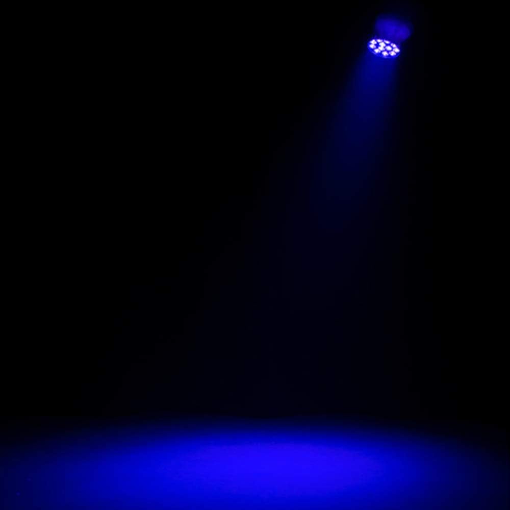 American DJ ADJ 12P HEX IP 65 Outdoor RGBAW + UV LED DMX Par Can Wash Up-Light