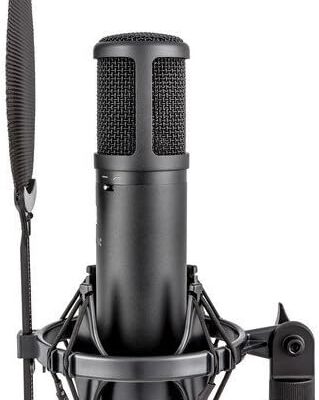 sE Electronics sE2200 Studio Condenser Cardioid Microphone with Isolation Pack plus XLR-XLR Cable and Pop Filter