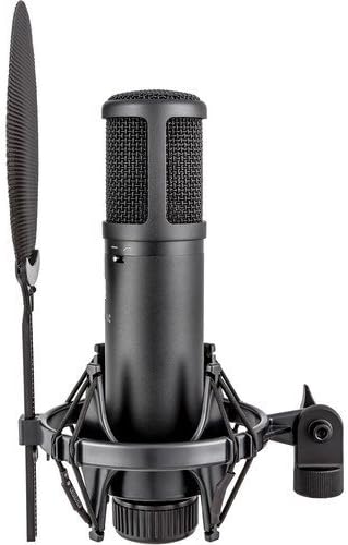 sE Electronics sE2200 Studio Condenser Cardioid Microphone with Isolation Pack plus XLR-XLR Cable and Pop Filter
