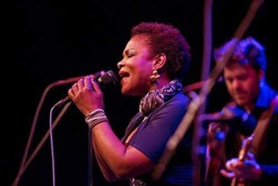 Electro-Voice ND96 Dynamic Supercardioid Vocal Microphone ,Black