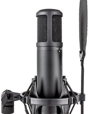 sE Electronics sE2200 Studio Condenser Cardioid Microphone with Isolation Pack plus XLR-XLR Cable and Pop Filter