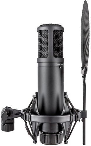 sE Electronics sE2200 Studio Condenser Cardioid Microphone with Isolation Pack plus XLR-XLR Cable and Pop Filter