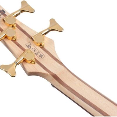 Ibanez SR Standard 4-string Electric Bass – Black Ice Frozen Matte