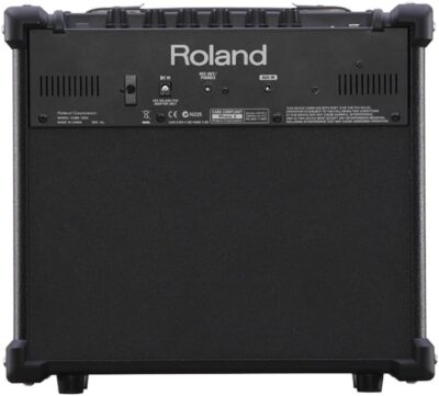Roland CUBE-10GX 10-Watt Guitar Amplifier (CUBE-10GX)