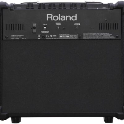 Roland CUBE-10GX 10-Watt Guitar Amplifier (CUBE-10GX)