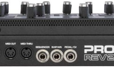 Dave Smith Instruments Prophet Rev2 16-Voice Polyphonic Analog Synthesizer Module