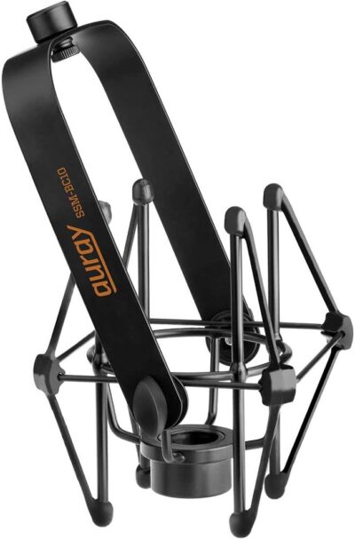 Electro-Voice RE320 Variable-D Dynamic Vocal and Instrument Microphone Bundle with SSM-BC10 Mic Shockmount (Black Matte) and BAI-2X Two-Section Broadcast Arm with Springs and XLR Cable, F.01U.120.616