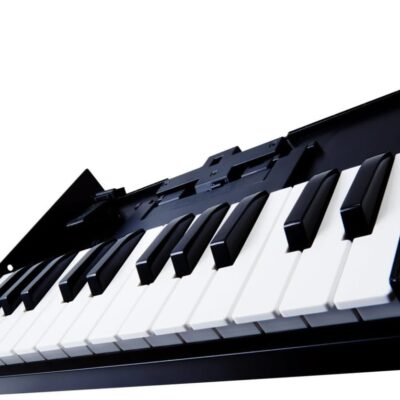 Roland K-25M Boutique Module Dock USB MIDI Keyboard, 12 inch (K-25M)