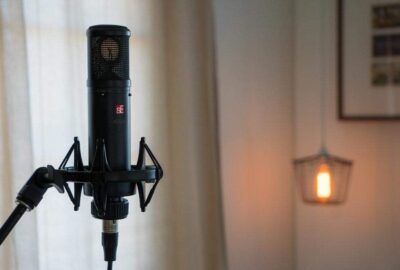 SE Electronics SE2200 Large Diaphragm Cardioid Condenser Microphone,Black