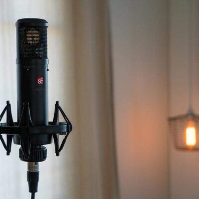 SE Electronics SE2200 Large Diaphragm Cardioid Condenser Microphone,Black