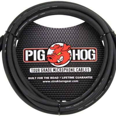 61 KNTgL5UL. AC SL1000 sE Electronics SE2200 Large-Diaphragm Condenser Microphone Bundle with Shockmount, Pop Screen Filter and 2 10ft XLR Cables