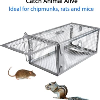 614jH76UhL. AC SL1000 Gingbau Rat Chipmunk Trap Humane Live Mouse Vole Cage Trap