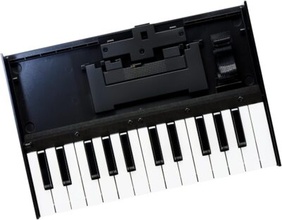 Roland K-25M Boutique Module Dock USB MIDI Keyboard, 12 inch (K-25M)