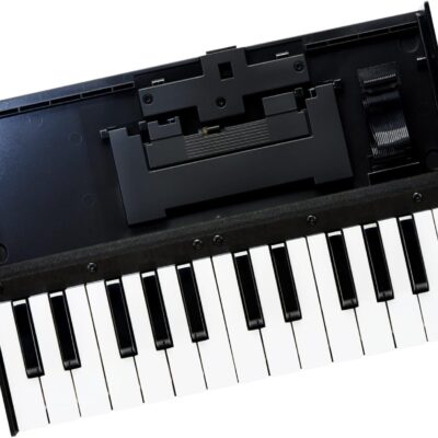 Roland K-25M Boutique Module Dock USB MIDI Keyboard, 12 inch (K-25M)