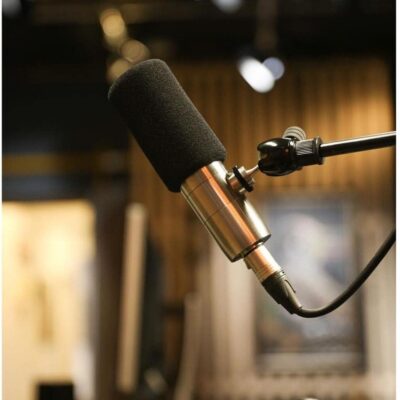 Earthworks ETHOS Condenser Broadcast Microphone – Silver