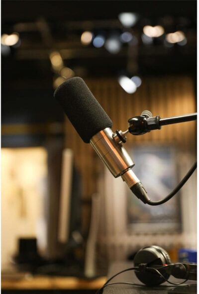 Earthworks ETHOS Condenser Broadcast Microphone – Silver