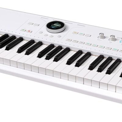 Arturia AstroLab 61-Key Semi-Weighted Stage Keyboard — With 1300 Sounds and Analog Lab Pro Software Included