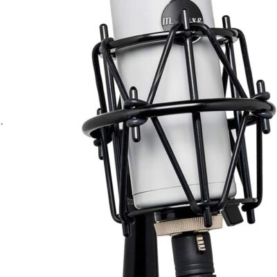 Mojave Audio MA-201fet Large-Diaphragm Condenser Microphone – Vintage Gray