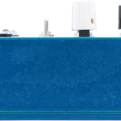 619OsVgQw5L. AC SL1000 EarthQuaker Devices Avalanche Run Stereo Reverb & Delay with Tap Tempo Guitar Effects Pedal