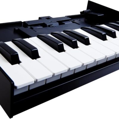 61DyW7HPUML. AC SL1500 Roland K-25M USB MIDI Keyboard Unit Bundle with MIDI Cable, Online Piano Lessons, and Austin Bazaar Polishing Cloth
