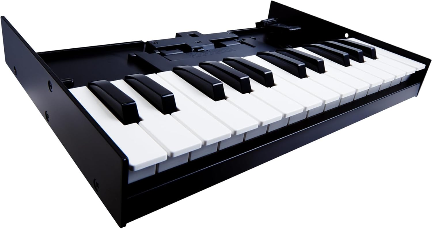 Roland K-25M USB MIDI Keyboard Unit Bundle with MIDI Cable, Online Piano Lessons, and Austin Bazaar Polishing Cloth