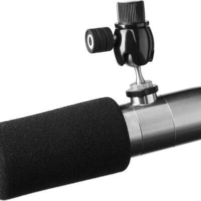 Earthworks ETHOS Condenser Broadcast Microphone – Silver
