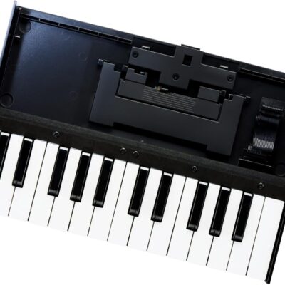 Roland K-25M Boutique Module Dock USB MIDI Keyboard, 12 inch (K-25M)