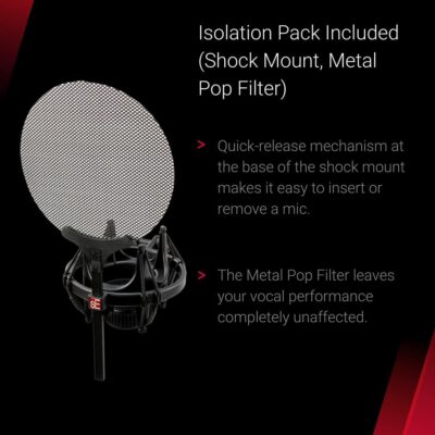 SE ELECTRONICS – 2200 Large Diaphragm Cardioid Condenser Mic with Shockmount and Filter