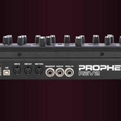 Dave Smith Instruments Prophet Rev2 8-Voice Polyphonic Analog Synthesizer Module