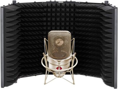 Neumann TLM 49 Cardioid Studio Condenser Microphone Bundle with Reflection Filter & Mic Stand