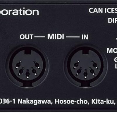 Roland RUBIX22 2-In 2-Out USB Audio Interface Bundle with Instrument Cable