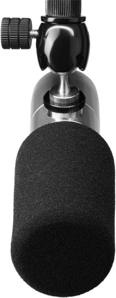 Earthworks ETHOS Condenser Broadcast Microphone – Silver