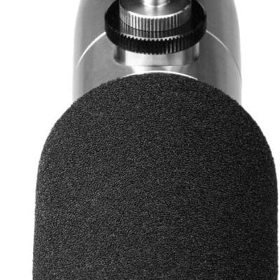 Earthworks ETHOS Condenser Broadcast Microphone – Silver