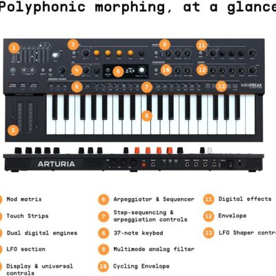 Arturia MiniFreak 37 Key Polyphonic 6-Voice Hybrid Synthesizer Keyboard (Standard, 37 Key)