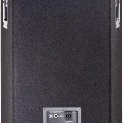 JBL Professional JRX225 Portable, Passive 2-way Sound Reinforcement, 2000 Watt, 8 Ohm, DJ, Pro Audio PA Speaker, Loudspeaker System, Dual 15 inch, Black