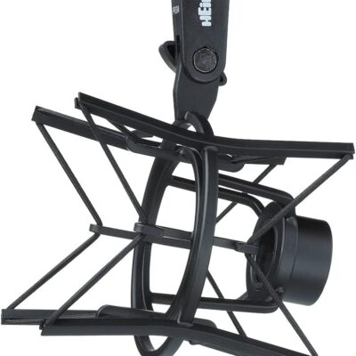 HEiL sound PR40 Large Diameter Dynamic Cardioid Studio Microphone, Black Bundle with Heil Sound PRSMB Shockmount, Two-Section Broadcast Arm, and XLR Cable