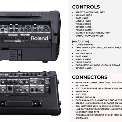 Roland Cube Street EX 4-Channel 50-Watt Battery-Powered Amplifier Bundle with Microphone, Instrument Cable, Batteries, and Austin Bazaar Polishing Cloth