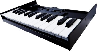 Roland K-25M Boutique Module Dock USB MIDI Keyboard, 12 inch (K-25M)