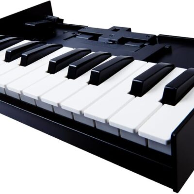 Roland K-25M Boutique Module Dock USB MIDI Keyboard, 12 inch (K-25M)