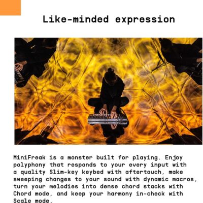 Arturia MiniFreak 37 Key Polyphonic 6-Voice Hybrid Synthesizer Keyboard (Standard, 37 Key)