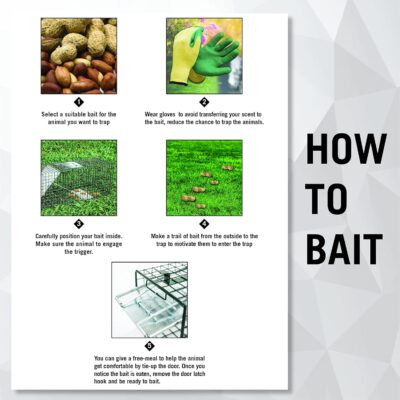 HOMESTEAD Heavy Duty Live Trap – Professional Style One-Door Live Animal Traps for Rabbit, Squirrel, Possum, Skunk, Kitten, Mink Small