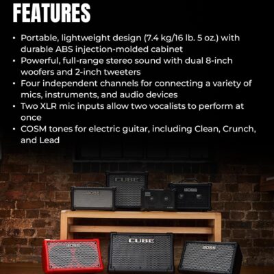 Roland Cube Street EX 4-Channel 50-Watt Battery-Powered Amplifier Bundle with Microphone, Instrument Cable, Batteries, and Austin Bazaar Polishing Cloth