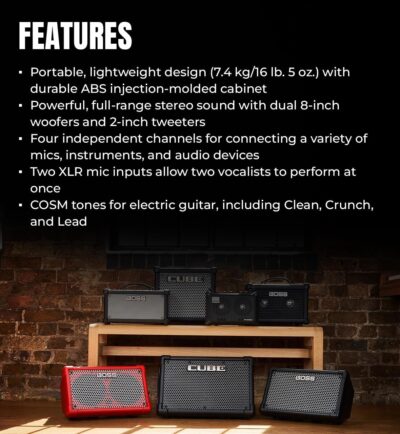Roland Cube Street EX 4-Channel 50-Watt Battery-Powered Amplifier Bundle with Microphone, Instrument Cable, Batteries, and Austin Bazaar Polishing Cloth
